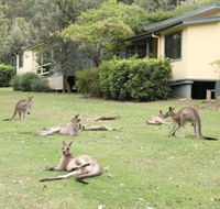 Depot Beach Cabins - Tourism Caloundra
