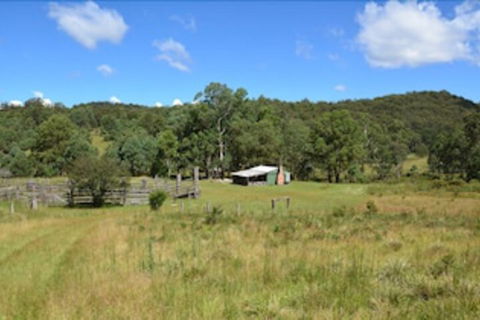 Four Bull Hut - Tourism Caloundra 4