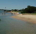 Black Dolphin Waterfront Townhouse Bay Views