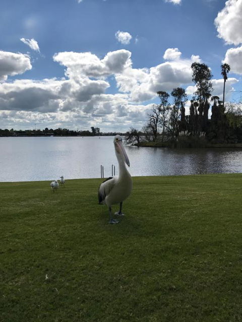Waterside Holiday Rentals Unit 31 - Tourism Caloundra 2