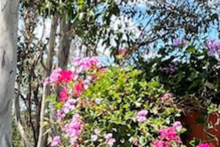 Crows Nest QLD Tourism Caloundra