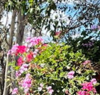 Crows Nest Motel - Tourism Caloundra
