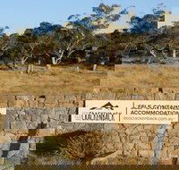 Ecocrackenback 13 'Sustainable chalet close to the slopes.' - Tourism Caloundra