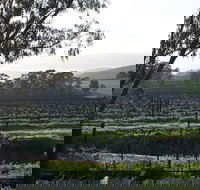 Jasmine's Cottage - Tourism Caloundra