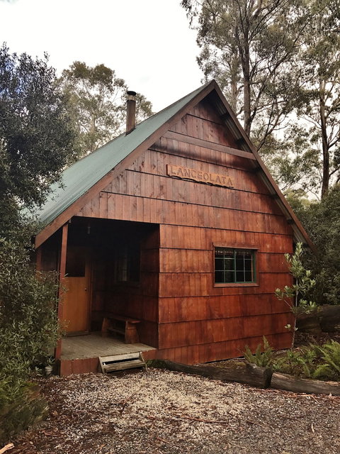 Cradle Mountain Highlanders Cottages - Tourism Caloundra 4