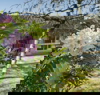 Wentworth Rose - Tourism Caloundra