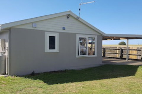 Cockle Shell - Tourism Caloundra 0