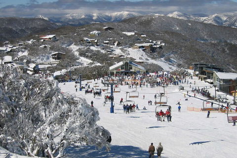 Snowflake 13 - Tourism Caloundra 6