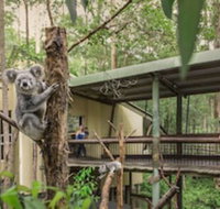 Springwood Meditation Vacation Center - Tourism Caloundra