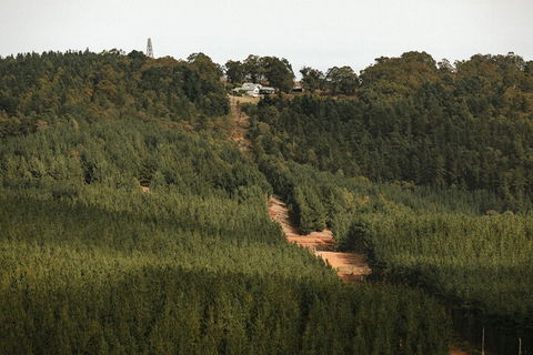 Nannup Hideaway - Tourism Caloundra 4