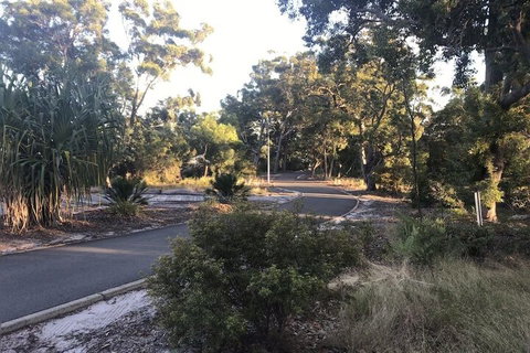 Eurolie On High - Tourism Caloundra 2