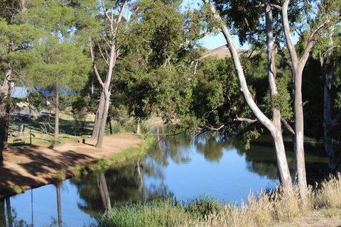 Royal Exchange Hotel - Tourism Caloundra 3
