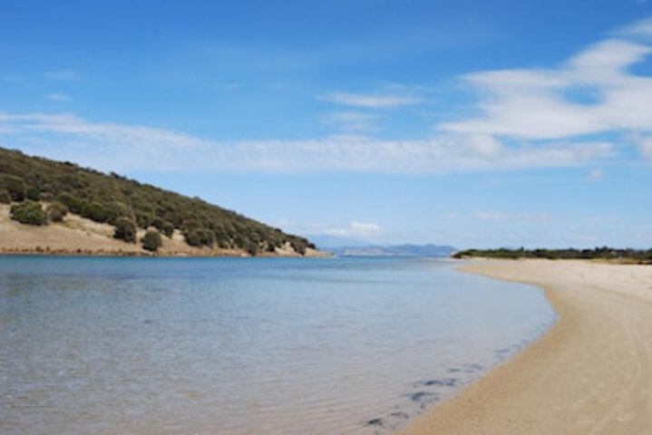 Carlton TAS Tourism Caloundra