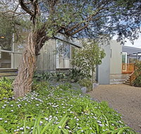 Beach Pearl - Tourism Caloundra