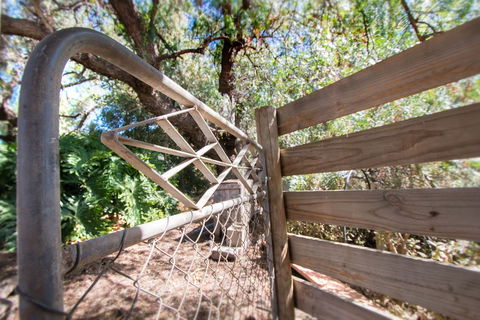 Old Swanport General Store - Tourism Caloundra 1