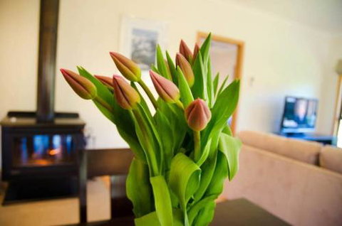 Growlers Creek Lodge - Tourism Caloundra 1