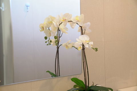 Comfort House Near Box Hill - Tourism Caloundra 1