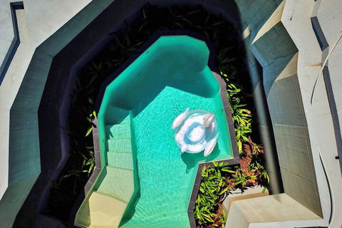 Alkira Award Winning Luxury Holiday Home - Tourism Caloundra 6