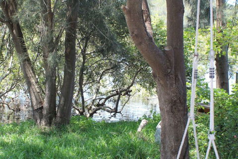 Waters Edge - Tourism Caloundra 5