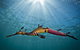 Bayplay Beach Accommodation - 2 Locations - thumb 1