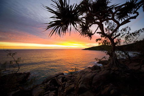 Jimmys Shout Pet Friendly - Tourism Caloundra 6