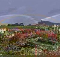 Boat Harbour Garden Cottages - Tourism Caloundra