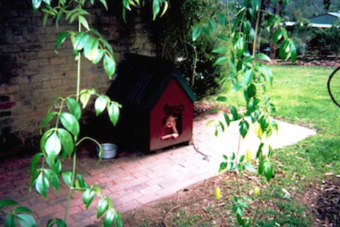 Kurrajong Trails And Cottages - Tourism Caloundra 1