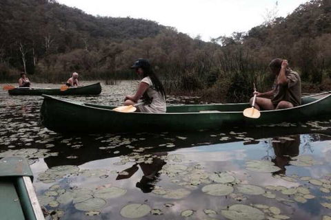 Kurrajong Trails And Cottages - Tourism Caloundra 3