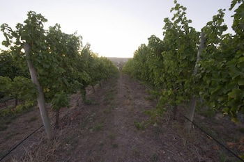Barristers Block Vigneron Villa - Tourism Caloundra 4