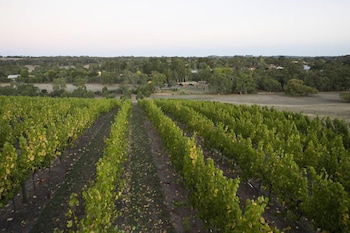 Barristers Block Vigneron Villa - Tourism Caloundra 3