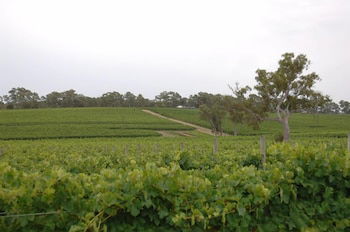 Barristers Block Vigneron Villa - Tourism Caloundra 6