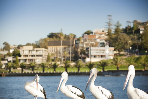 The Sebel Harbourside Kiama - Tourism Caloundra 1