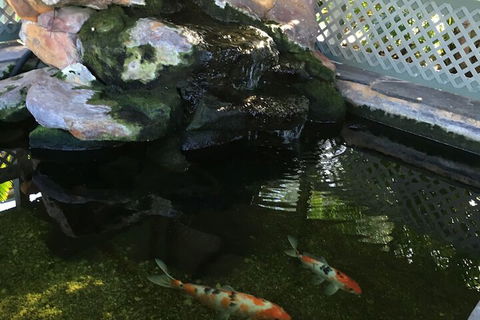 Quality Inn The Willows - Tourism Caloundra 3