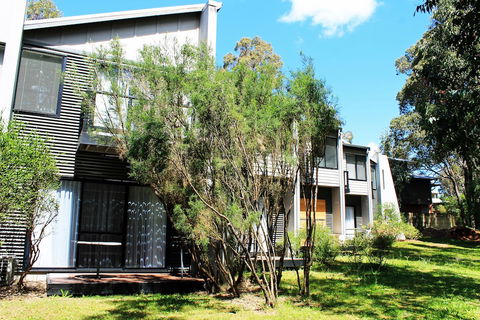 Margarets Forest - Tourism Caloundra 2