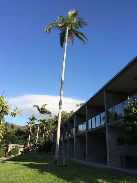 Arcadia Village Motel - Tourism Caloundra 2