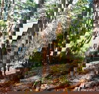 Green Leaves Cabin - Tourism Caloundra