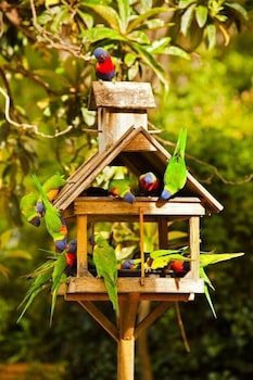 Crystal Brook Tourist Park - Tourism Caloundra 0