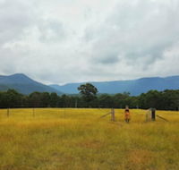 Maya Sanctuary - Tourism Caloundra
