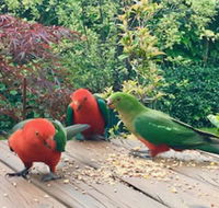 Crimson Villa - Tourism Caloundra