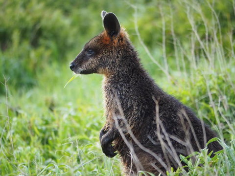 Douglas Riverside - Tourism Caloundra 1