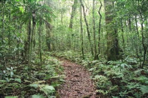 Goomburra Forest Retreat - Tourism Caloundra 5