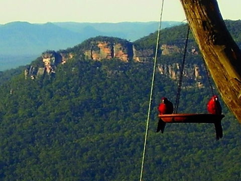 Valley Of The Waters B&B - Tourism Caloundra 3