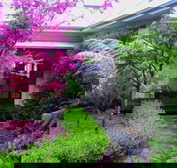 Valley of the Waters BB - Tourism Caloundra