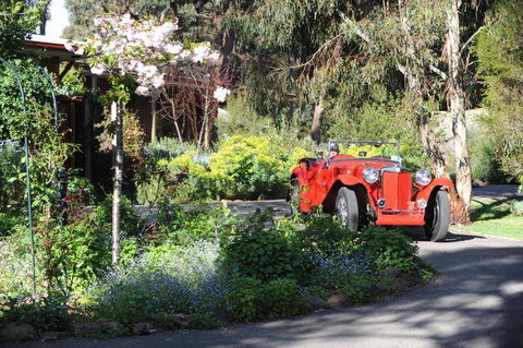 Wintarni Olives Cottage - Tourism Caloundra 1