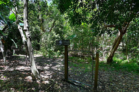 Barefoot Bungalow Castaways Beach - Tourism Caloundra 6
