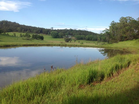 Valle Laguna - Tourism Caloundra 4