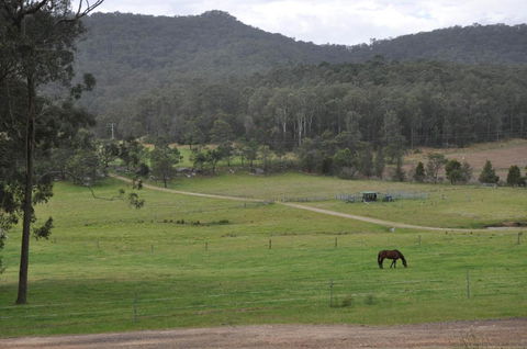 Valle Laguna - Tourism Caloundra 5