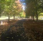 A peaceful cabin in the country