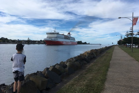 Tiny Tom - Tourism Caloundra 2