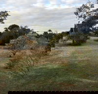 Young Budget Accommodation - Tourism Caloundra